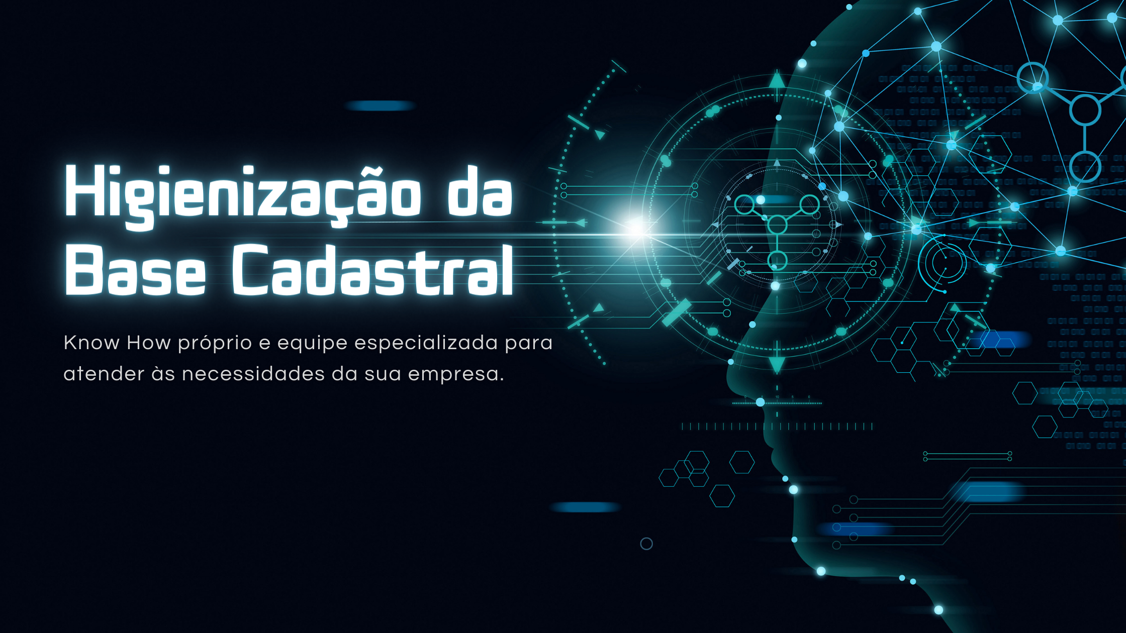 Higienização da Base de Dados Zeus Consult IT